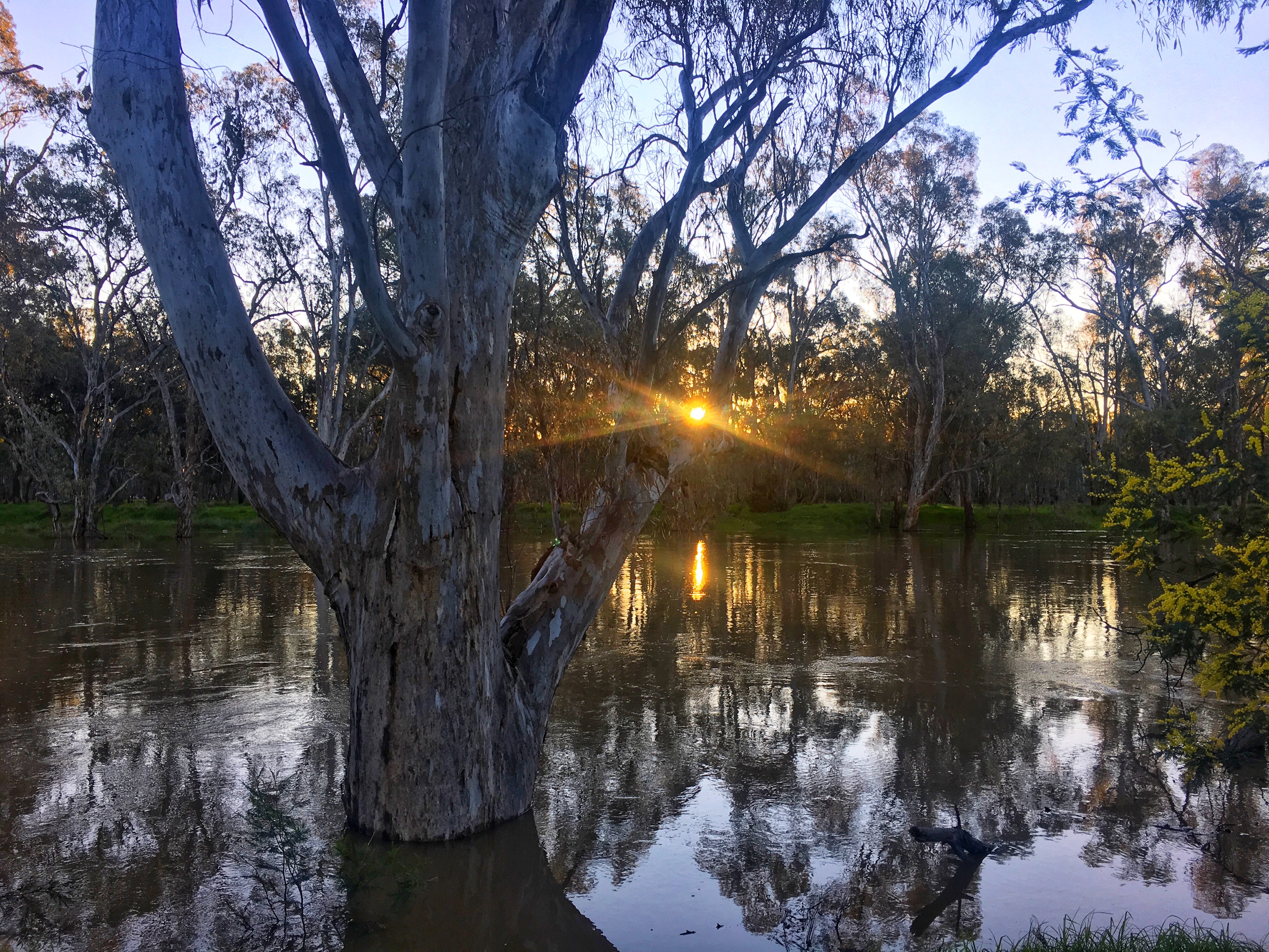 Goulburn, photo taken by Sebastian Kirby