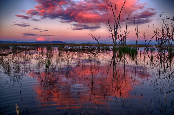 Winton Wetlands, photo taken by Rene Martens