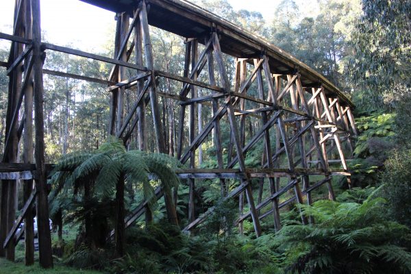 Trestle Bridge in Noojee